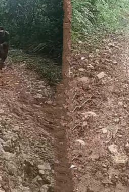 berita-rekomendasi-foto