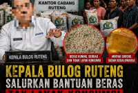 Ilustrasi Bantuan Pangan Beras (foto Flobamor.com)