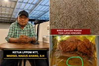 Kepala Bulog Ruteng Salurkan Bantuan Pangan Beras Tak Layak Konsumsi dan bantuan minyak goreng sudah kedaluwarsa (Dok.istimewa)