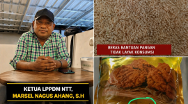 Kepala Bulog Ruteng Salurkan Bantuan Pangan Beras Tak Layak Konsumsi dan bantuan minyak goreng sudah kedaluwarsa (Dok.istimewa)