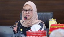 Bupati Gowa, Sulawesi Selatan (Sulsel) Husniah Talenrang (Dok.Istimewa)