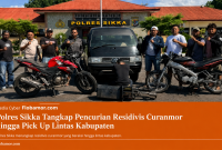 Polres Sikka Tangkap Pencurian Residivis Curanmor hingga Pick Up Lintas Kabupaten (Foto:Dok.Flobamor.com)