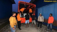 Bulog akan terus berkoordinasi dengan pemerintah daerah dan pihak terkait untuk mempercepat penyaluran bantuan ke wilayah terdampak lainnya. Proses distribusi akan dilakukan secara bertahap dengan memperhatikan aksesibilitas wilayah, kondisi masyarakat, serta perkembangan situasi usai bencana.