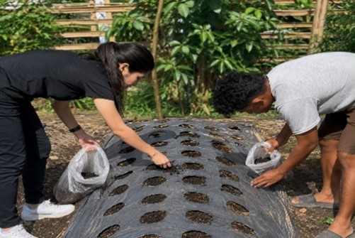 Dari kebun jagung hingga kandang ayam, Orang Muda Katolik (OMK) Pax Christi di Mbau Muku, Kabupaten Manggarai, Nusa Tenggara Timur (NTT), mulai membangun pola usaha pertanian dan peternakan yang saling terhubung. (Foto: Doc.Selvianus Hadun)